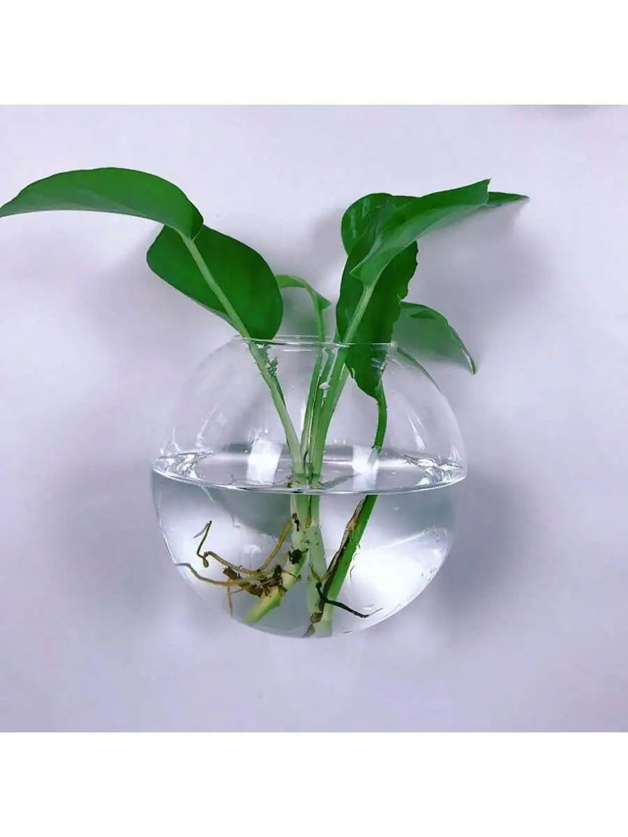 2/4/6 Pack Wall Hanging Glass Self-Watering Hydroponic Planter for Home Office Decor, Handmade Round Crystal Vase. A Nice Touch to any Room.
