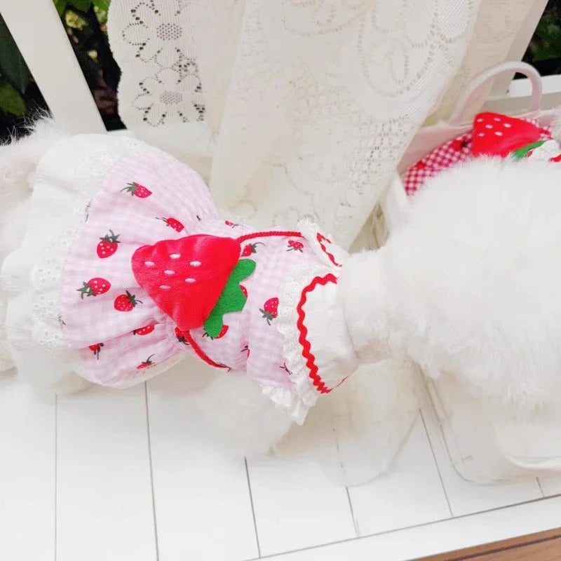 Your Fur Baby will be the Best Dressed Dog in Town in this Red and White Plaid and Strawberry Spring Dress. It also comes in Pink and White and Multiple Sizes.