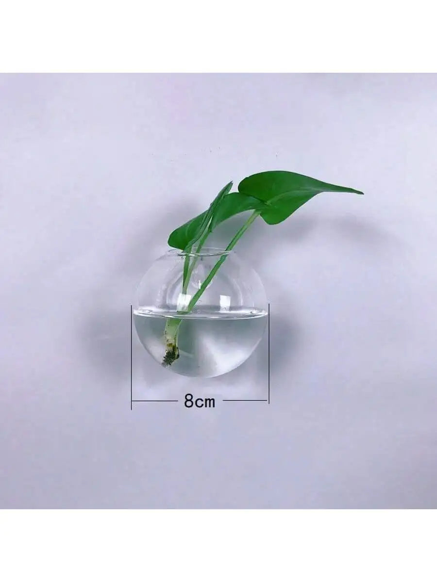 2/4/6 Pack Wall Hanging Glass Self-Watering Hydroponic Planter for Home Office Decor, Handmade Round Crystal Vase. A Nice Touch to any Room.