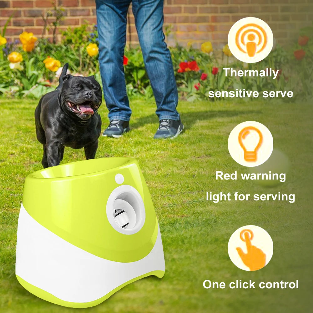 Pet Toy. Interactive Toy. Automatic ball thrower. Hours of fun for your Fur baby and the Family.
