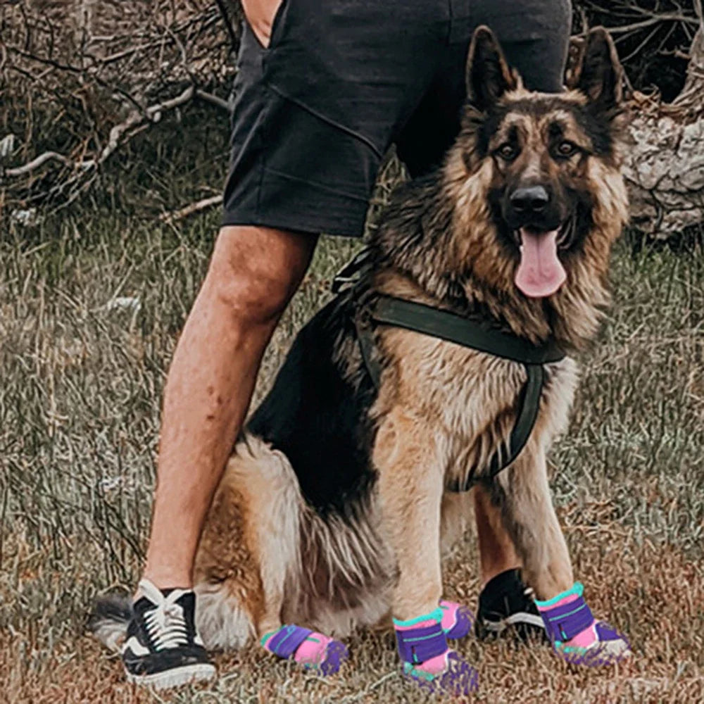 Doggie Boots!  Help protect those Precious Paws from the Elements . They will look so cute!