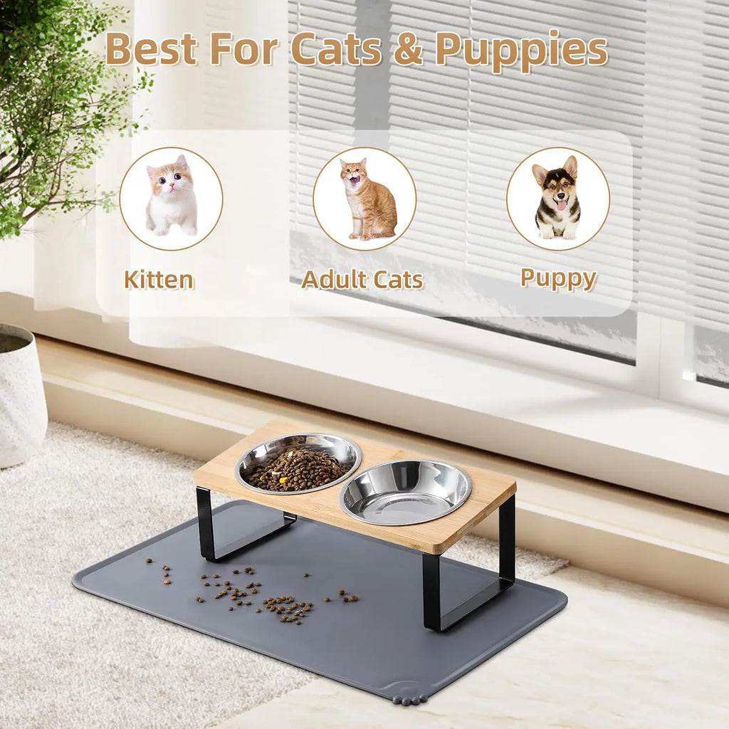 Elevated Cat Bowls with Mat, 15° Tilted Stand Anti-Vomiting Raised Dishes for Food and Water, 2 Stainless Steel Bowls
