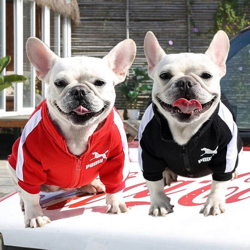 , Warm Trendy Brand Sweatshirts with Letters for Dogs and Cats, Small, Medium and Large Dog Supplies. Too Darn Cute!! Gotta Have It!