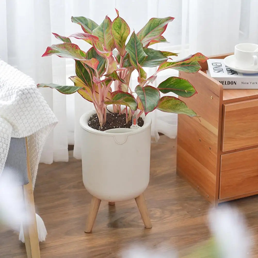 New Automatic Self-Watering Flower Pot With Water Level For Home Indoor Outdoor Garden Flower Pot With Wooden Legs. Love These. Perfect for Those of us that Forget to Water!!