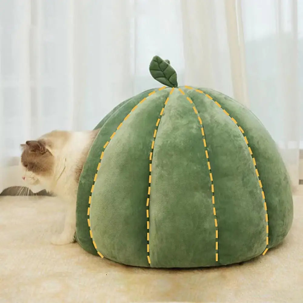 Pet House Bed. Pumpkin Hideaway for your Smaller Fur Babies. How Cute is THIS!!!!!