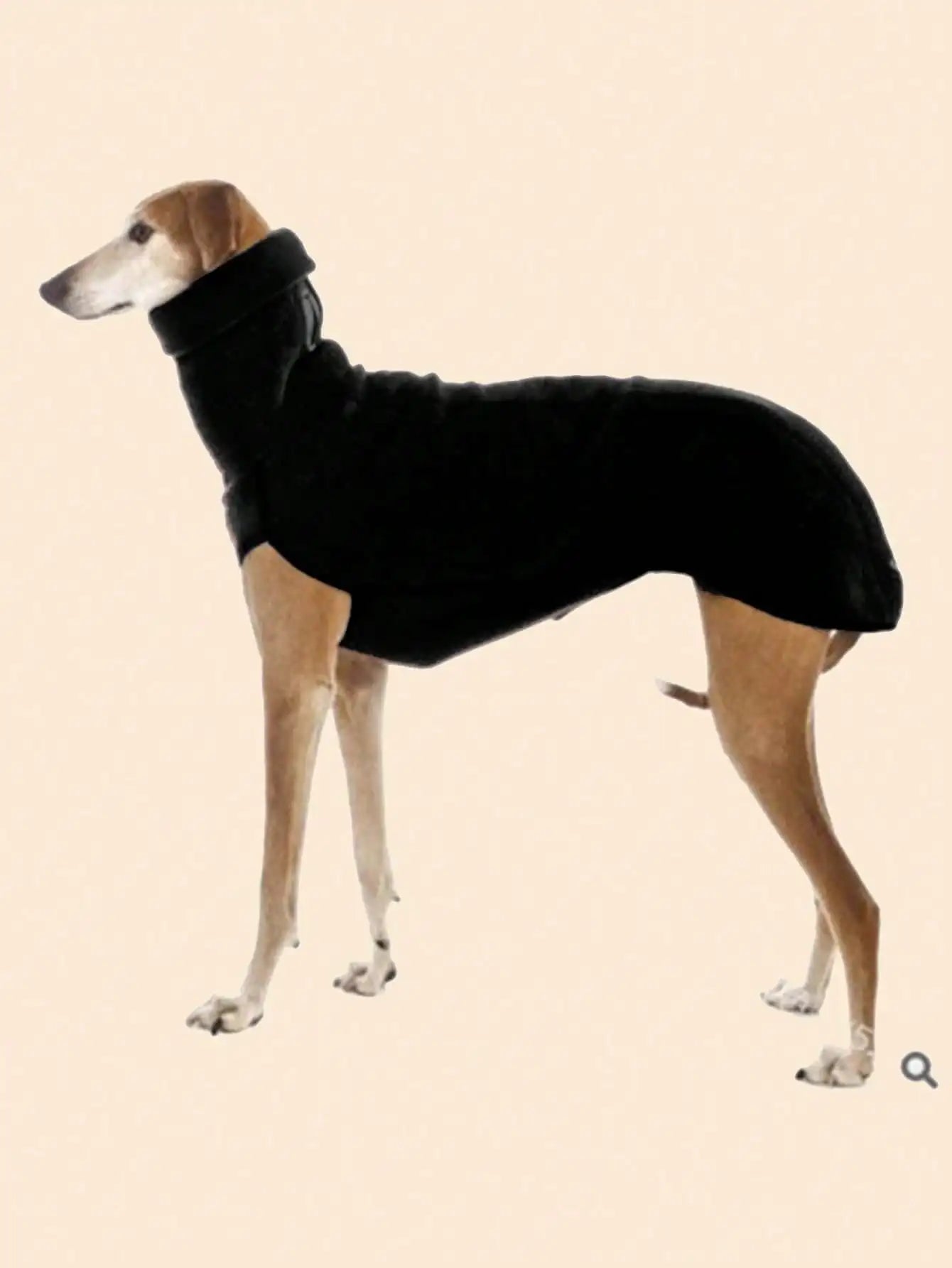 Calling Greyhound Lovers. This Sharp Classic Turtle Neck Style Jacket. These Sweet Fur Babies require a Specific fit for Their Shape. Multiple Size Choices. Also Comes in Grey.