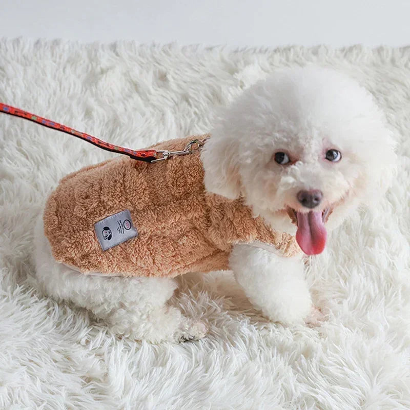 Trendy Pet Sweaters For Both Cats and Dogs. Keep them Warm and Fashionable and just plain ADORABLE!