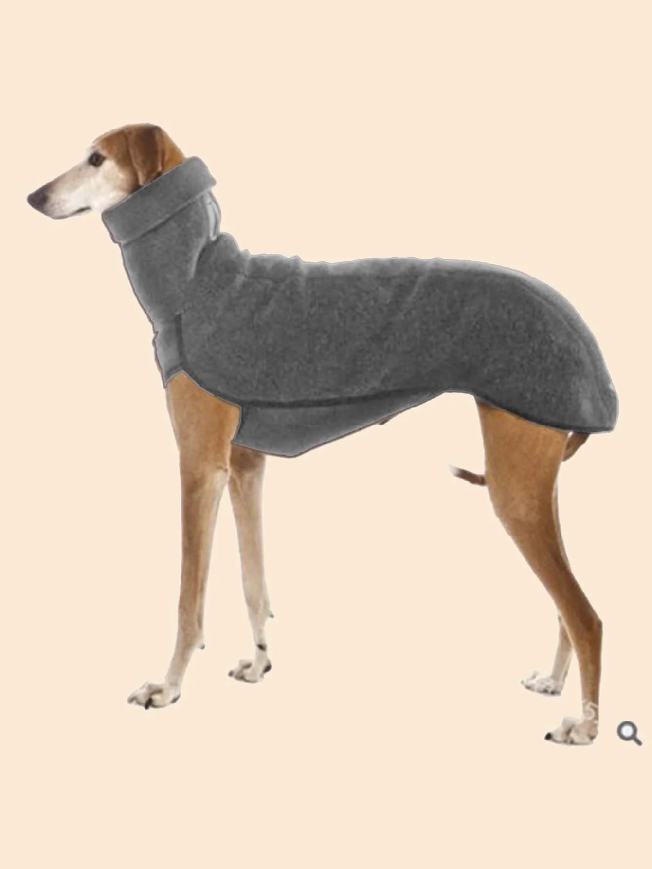 Calling Greyhound Lovers. This Sharp Classic Turtle Neck Style Jacket. These Sweet Fur Babies require a Specific fit for Their Shape. Multiple Size Choices. Also Comes in Grey.