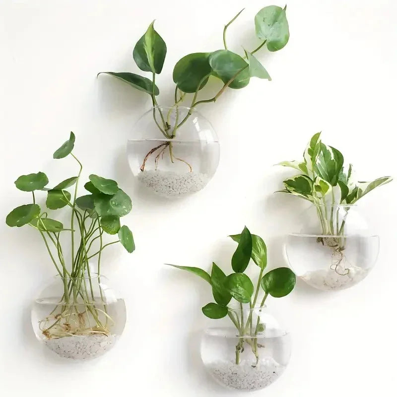 2/4/6 Pack Wall Hanging Glass Self-Watering Hydroponic Planter for Home Office Decor, Handmade Round Crystal Vase. A Nice Touch to any Room.