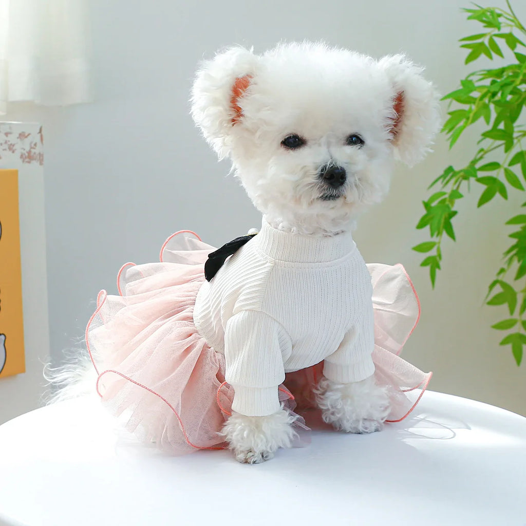 Spring Summer Pet Dog Cat Puppy Tutu Princess Dress Printed Lace Dog Skirt Pet Apparel Dog Dress. This is Truly Cuteness Overload. For Small to Medium Size Fur Babies.