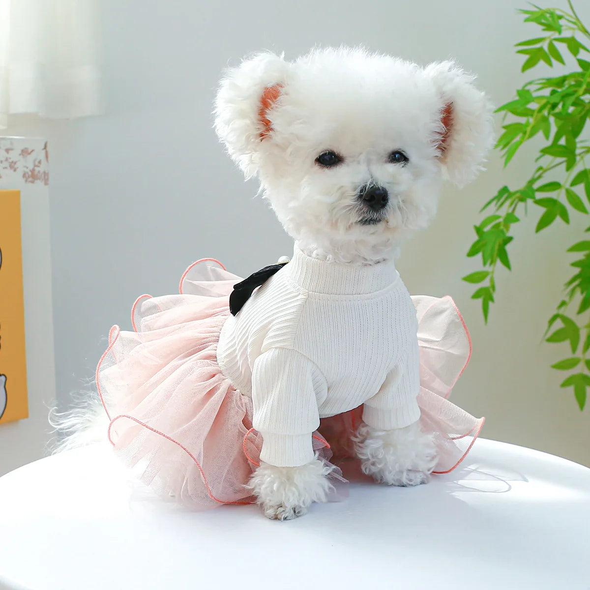 Spring Summer Pet Dog Cat Puppy Tutu Princess Dress Printed Lace Dog Skirt Pet Apparel Dog Dress. This is Truly Cuteness Overload. For Small to Medium Size Fur Babies.