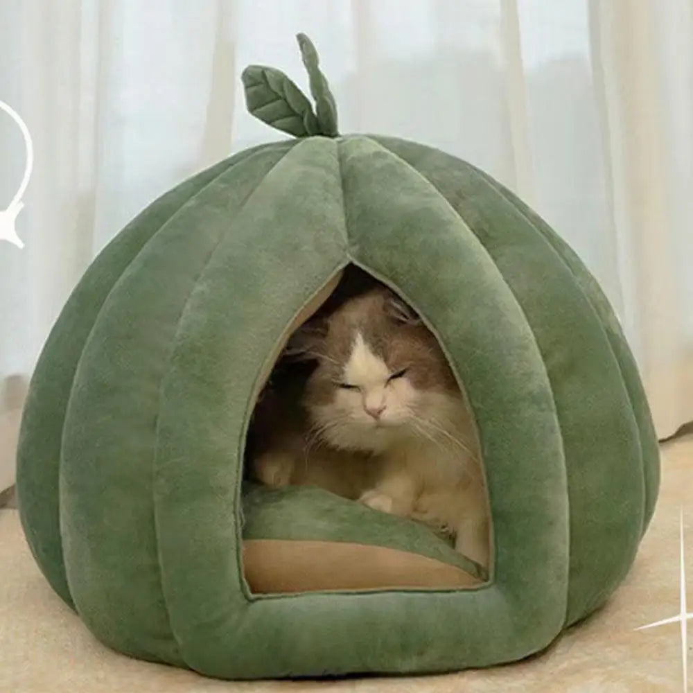 Pet House Bed. Pumpkin Hideaway for your Smaller Fur Babies. How Cute is THIS!!!!!