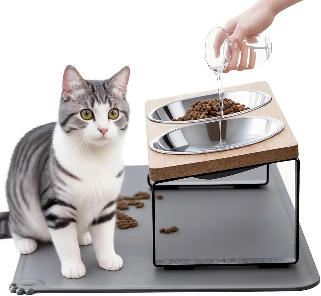 Elevated Cat Bowls with Mat, 15° Tilted Stand Anti-Vomiting Raised Dishes for Food and Water, 2 Stainless Steel Bowls