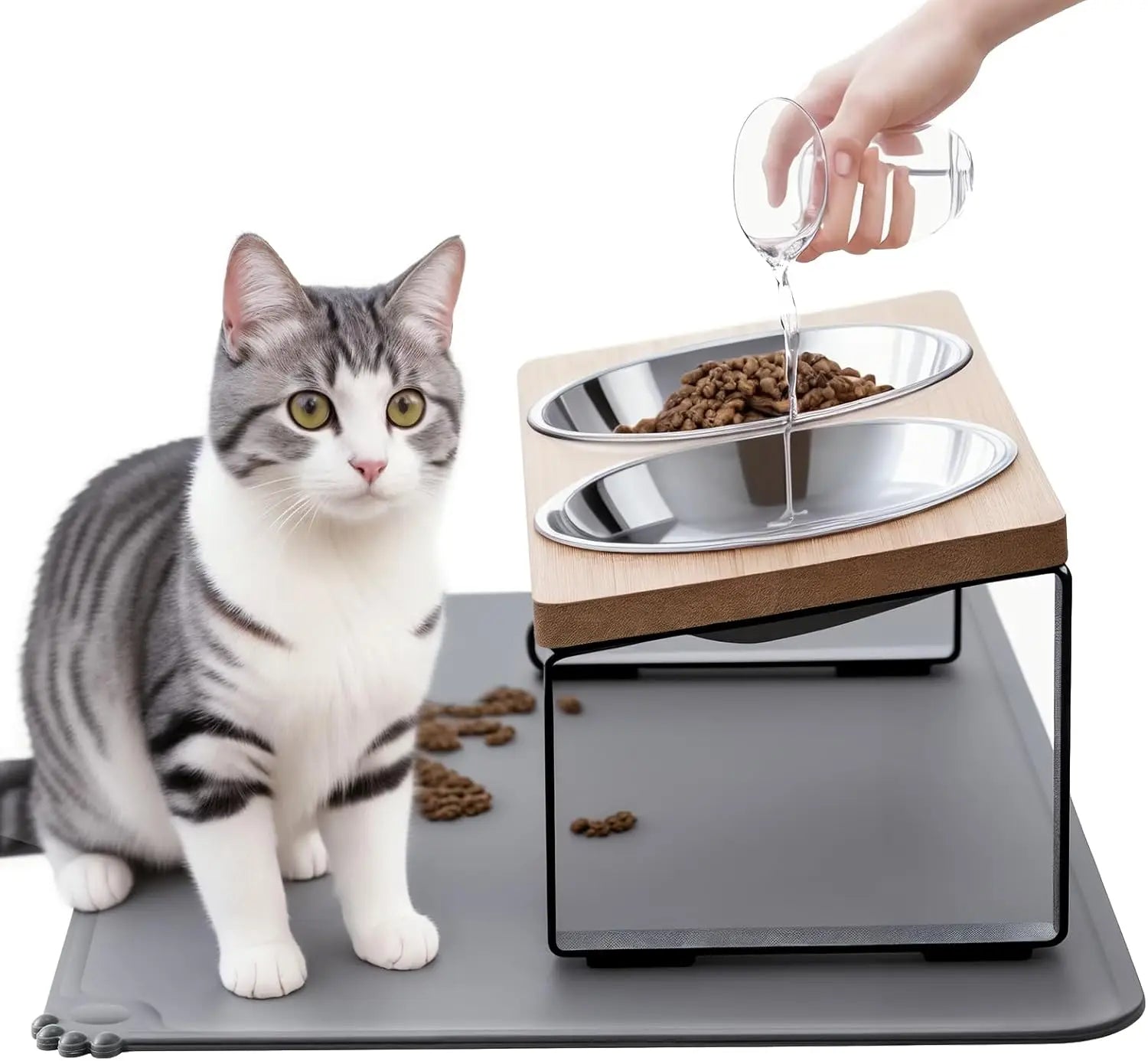 Elevated Cat Bowls with Mat, 15° Tilted Stand Anti-Vomiting Raised Dishes for Food and Water, 2 Stainless Steel Bowls