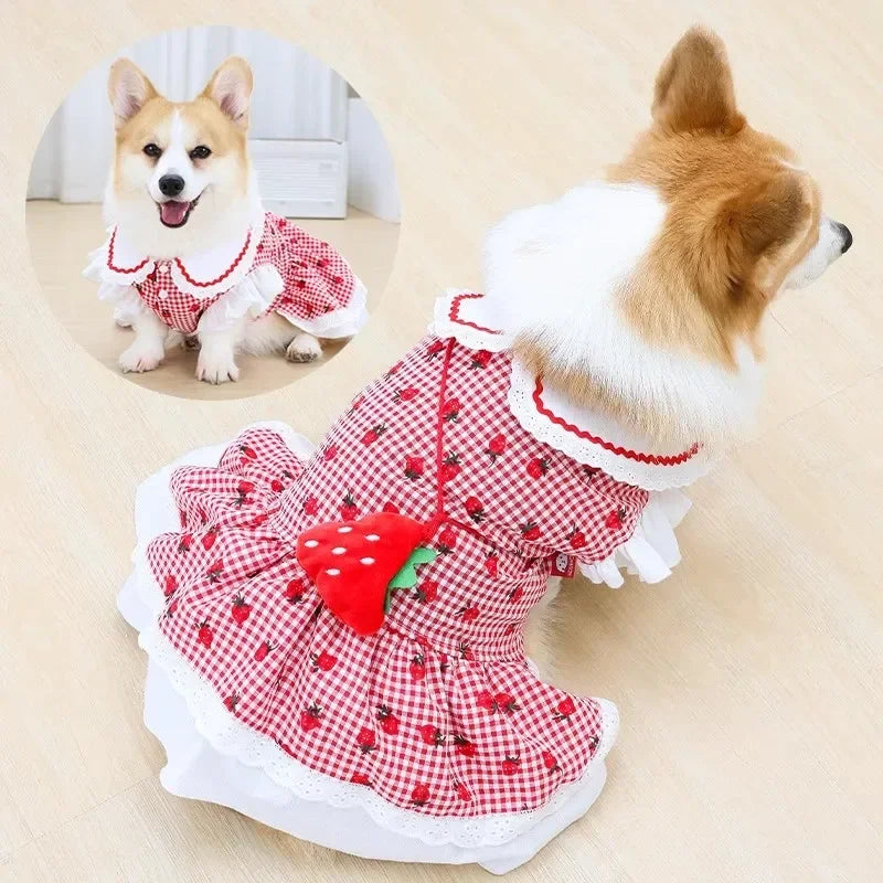 Your Fur Baby will be the Best Dressed Dog in Town in this Red and White Plaid and Strawberry Spring Dress. It also comes in Pink and White and Multiple Sizes.