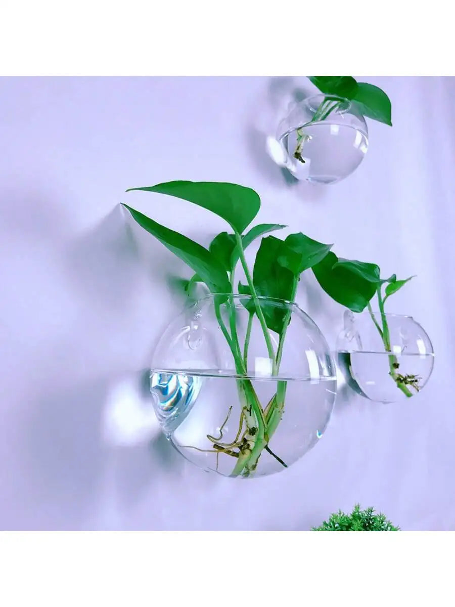 2/4/6 Pack Wall Hanging Glass Self-Watering Hydroponic Planter for Home Office Decor, Handmade Round Crystal Vase. A Nice Touch to any Room.