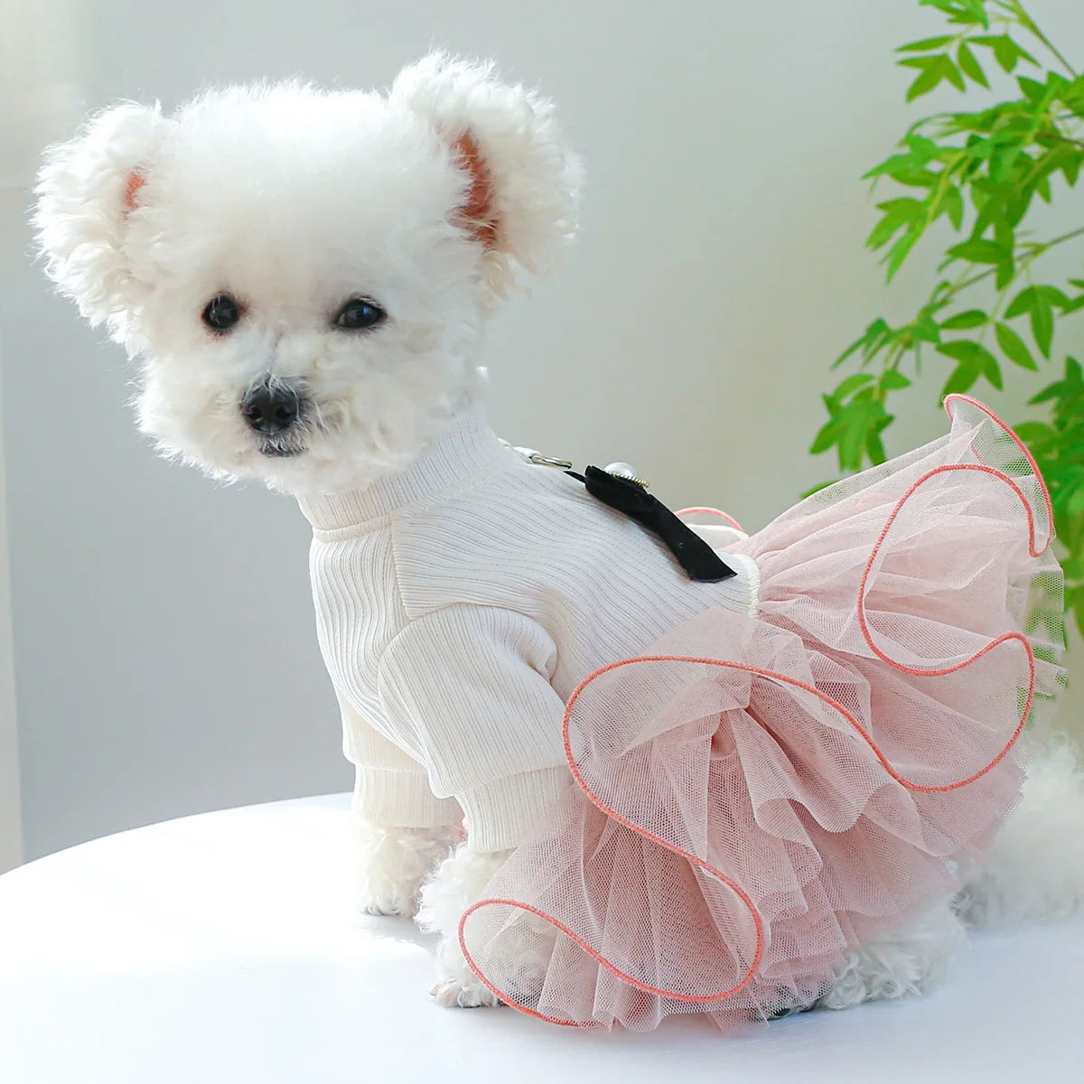 Spring Summer Pet Dog Cat Puppy Tutu Princess Dress Printed Lace Dog Skirt Pet Apparel Dog Dress. This is Truly Cuteness Overload. For Small to Medium Size Fur Babies.