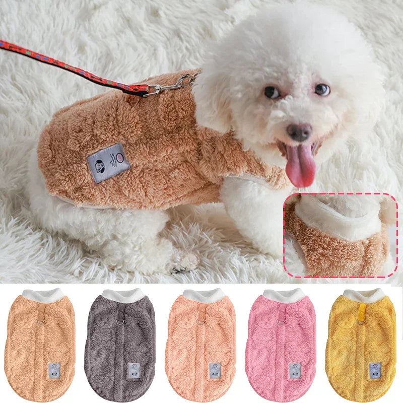Trendy Pet Sweaters For Both Cats and Dogs. Keep them Warm and Fashionable and just plain ADORABLE!