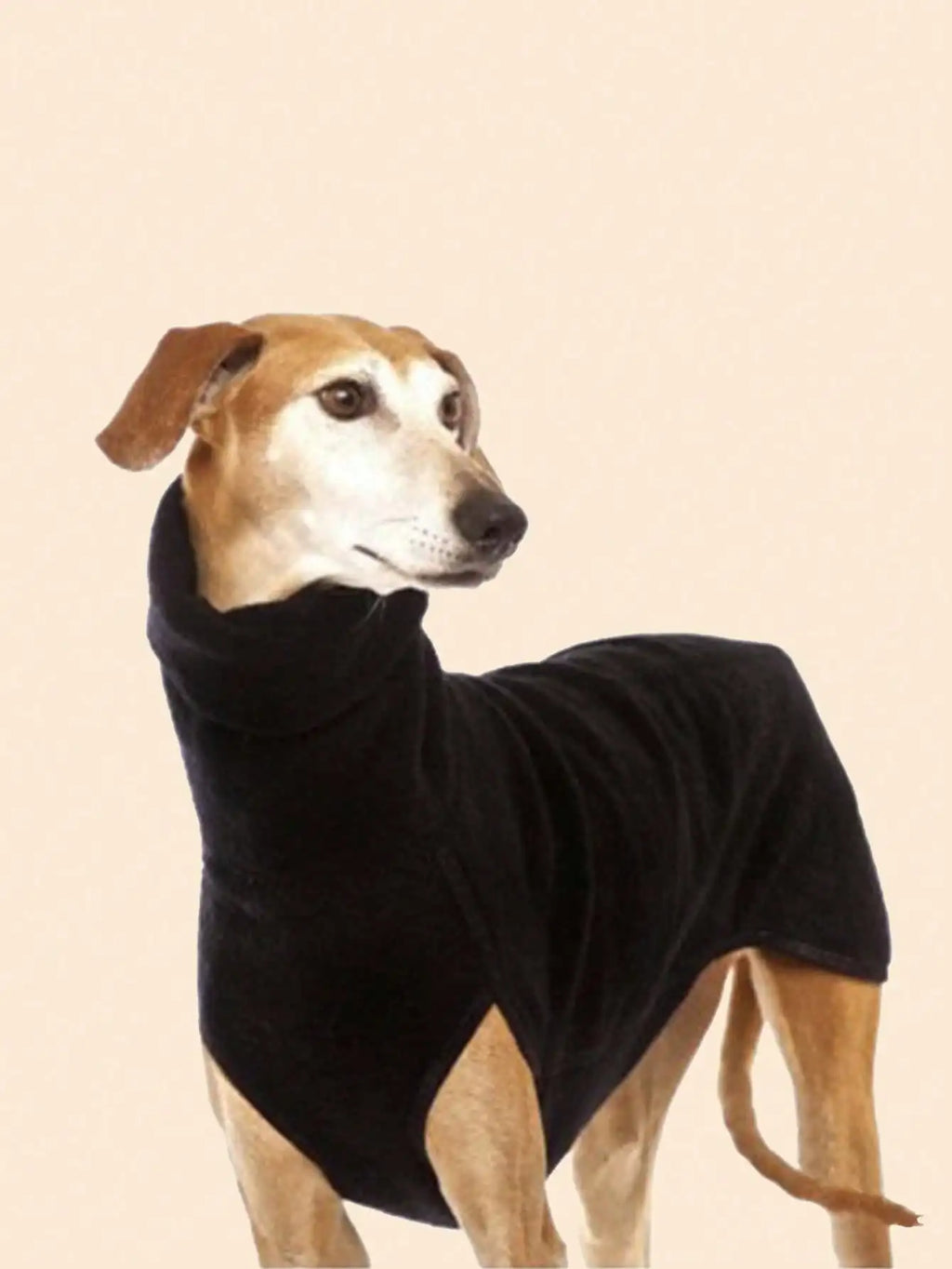 Calling Greyhound Lovers. This Sharp Classic Turtle Neck Style Jacket. These Sweet Fur Babies require a Specific fit for Their Shape. Multiple Size Choices. Also Comes in Grey.