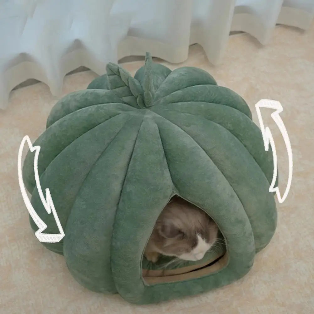 Pet House Bed. Pumpkin Hideaway for your Smaller Fur Babies. How Cute is THIS!!!!!