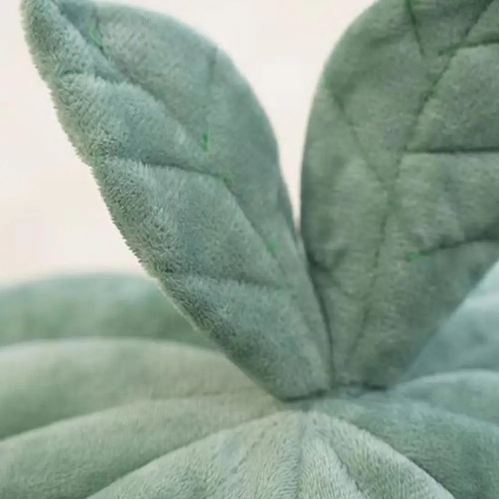 Pet House Bed. Pumpkin Hideaway for your Smaller Fur Babies. How Cute is THIS!!!!!