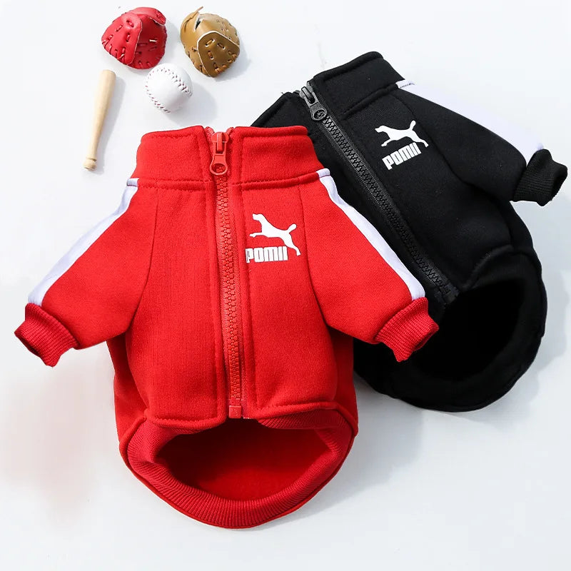 , Warm Trendy Brand Sweatshirts with Letters for Dogs and Cats, Small, Medium and Large Dog Supplies. Too Darn Cute!! Gotta Have It!