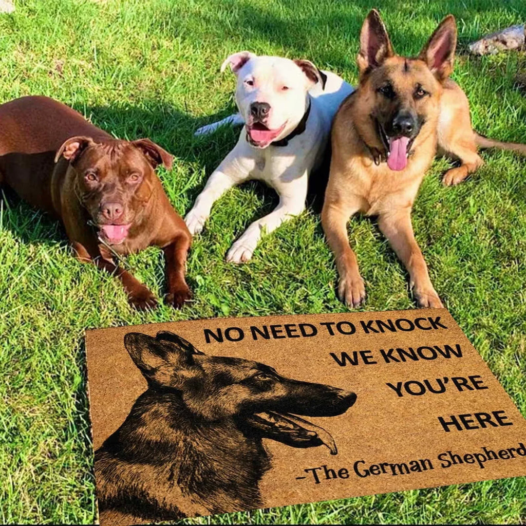 Funny Dog Doormat. Enough Said!!