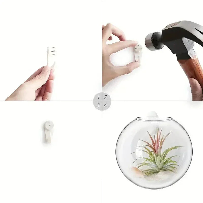 2/4/6 Pack Wall Hanging Glass Self-Watering Hydroponic Planter for Home Office Decor, Handmade Round Crystal Vase. A Nice Touch to any Room.