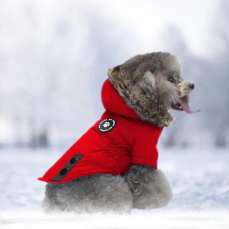 Doggie Down Jacket Fur Trimmed Hoodie Coat .  Your Fur Baby will be the Best Dressed Dog in Town!!!